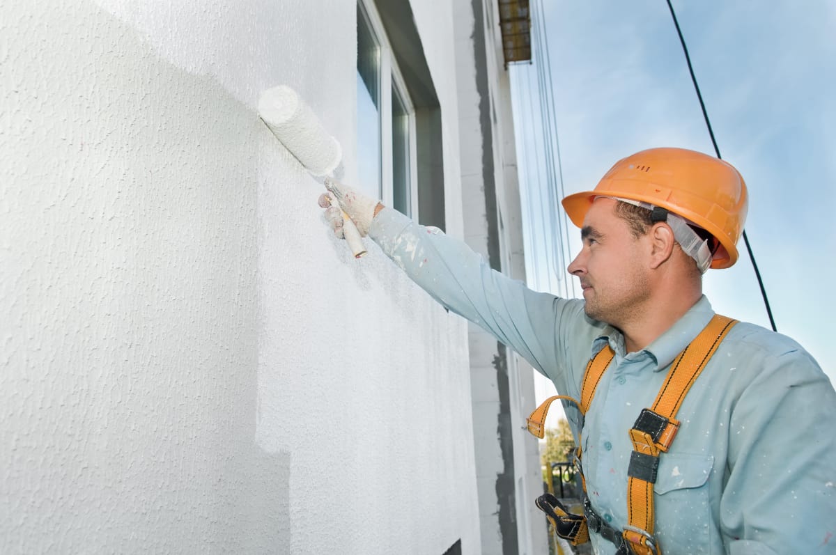 painters auckland